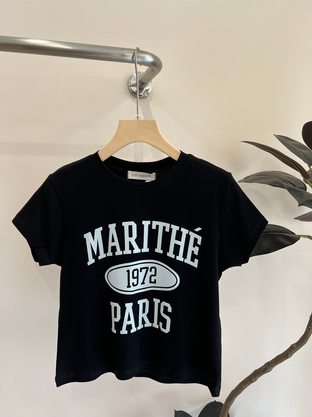 image_4886A4DE-FE92-479B-91DB-9DE960713865_1771986720