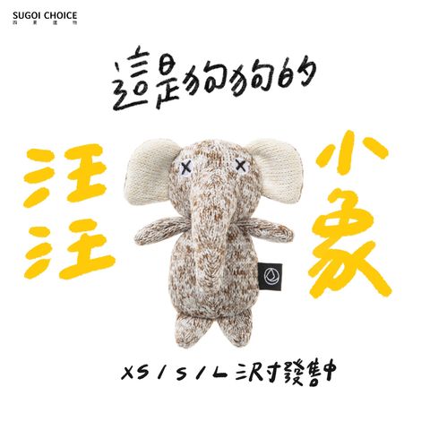 大象介紹