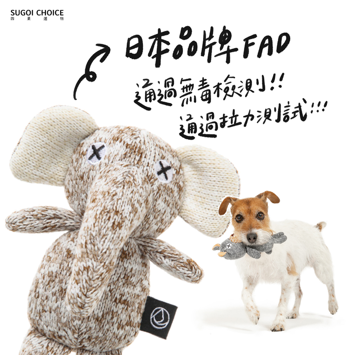 大象介紹2