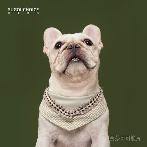 _金莎可可脆片-2