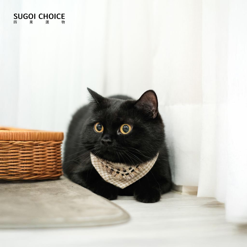 _金莎可可脆片-6