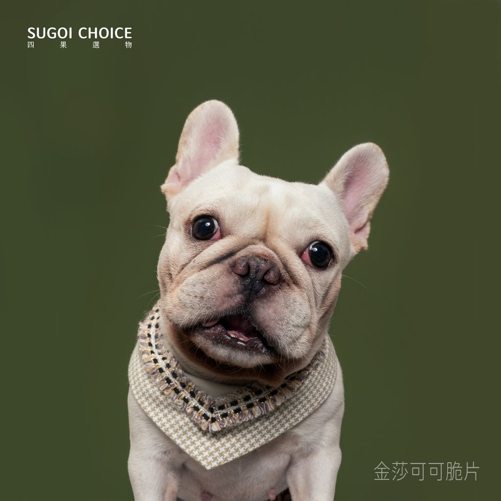 _金莎可可脆片-1