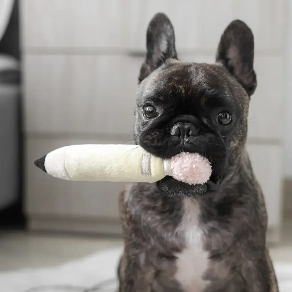 yoko.kiiroBACKTOSCHOOL22