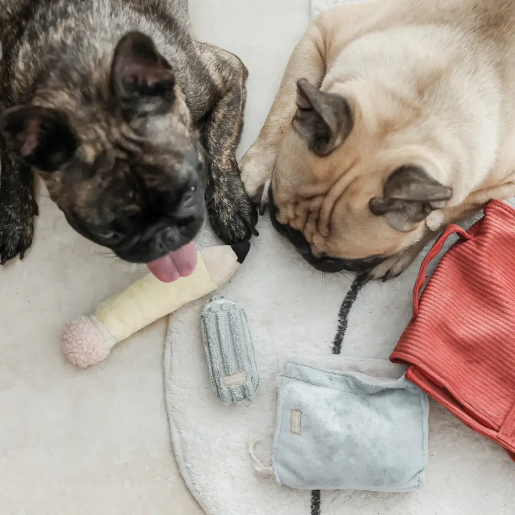 yoko.kiiroBACKTOSCHOOL8