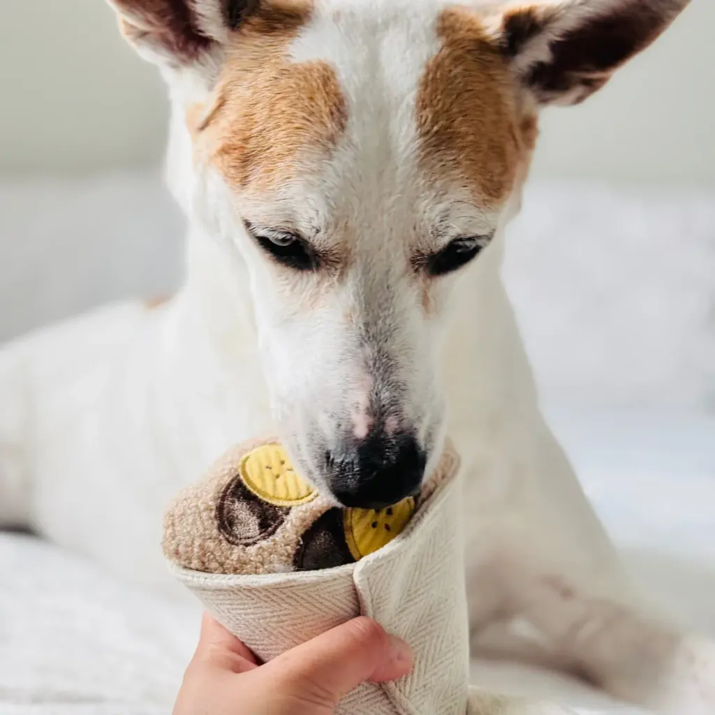 shadow_and_weezerCREPE5