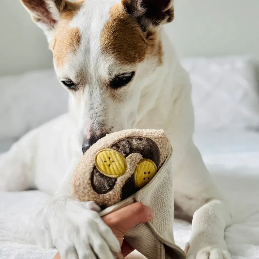 shadow_and_weezerCREPE1