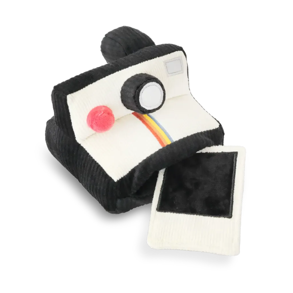 POLAROIDtransupdated