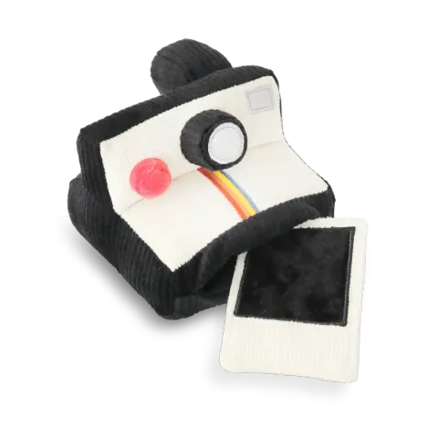 POLAROIDtransupdated