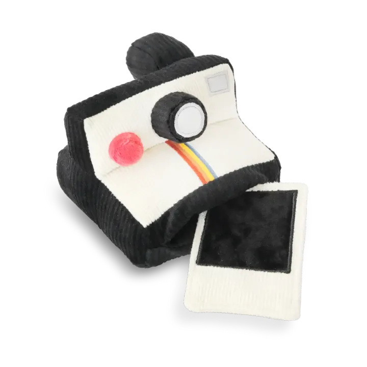 POLAROIDtransupdated