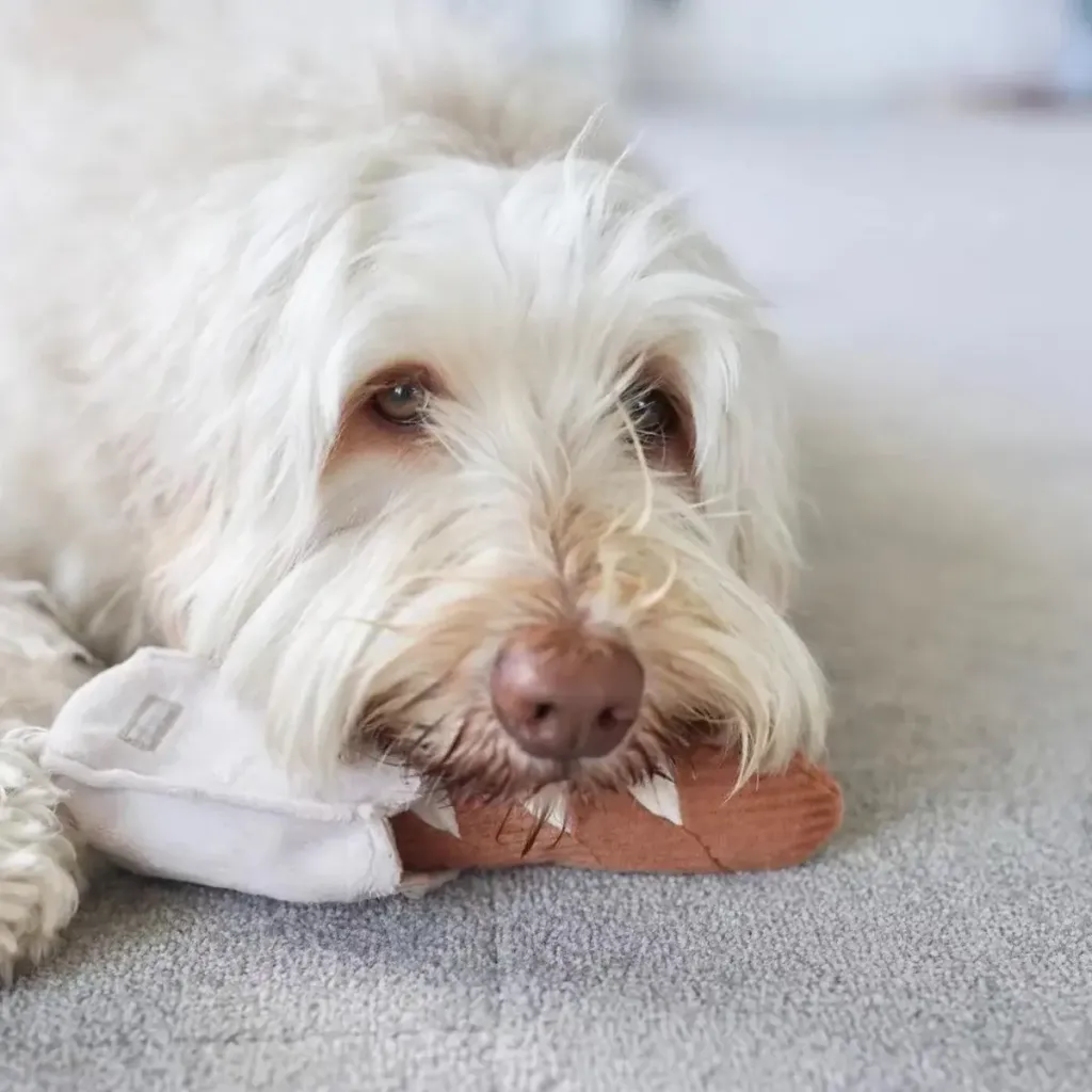 MiniBaguette_43b52c5c-342d-4957-b68f-34c107bef045