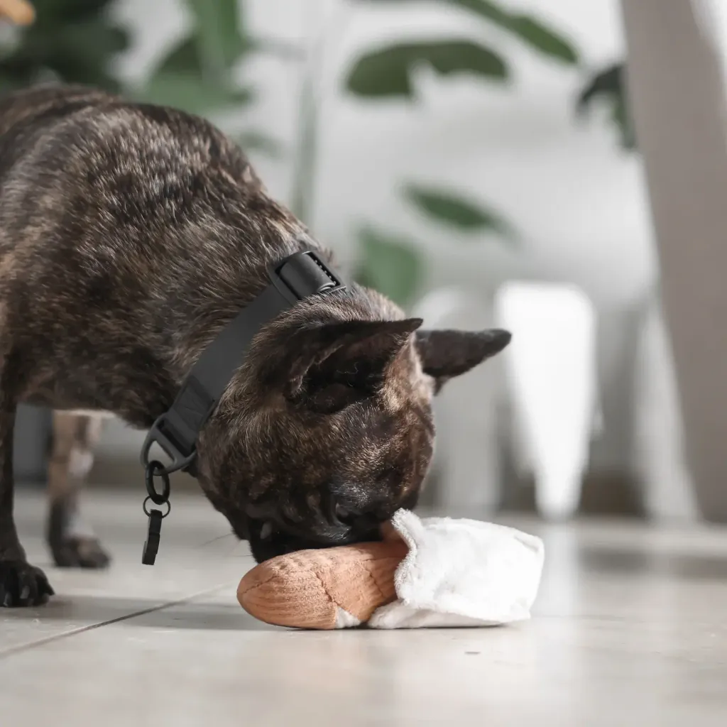 yoko.kiiroFALLBOX31Cropped_5e07cefd-2033-486f-843b-5dad34b7b1e3