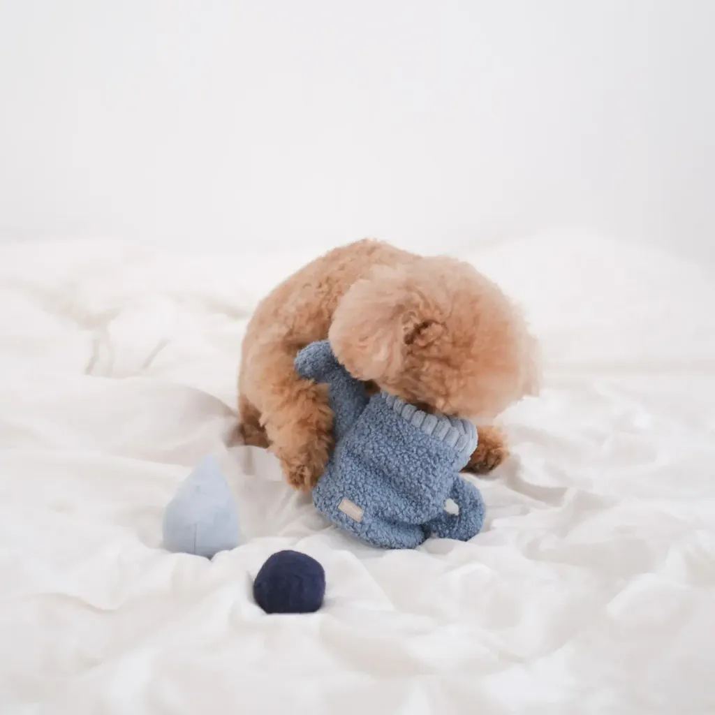 IMG_8079_1c8869b9-44b6-4a17-b497-30953ecd199f