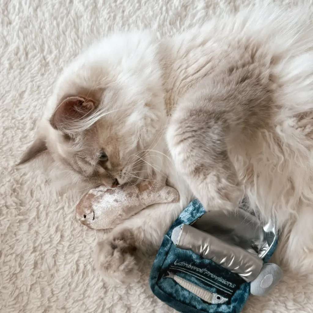 somi.lumi.bamiKITTYSARDINES2