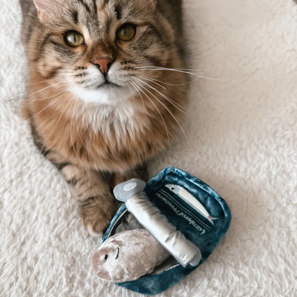 somi.lumi.bamiKITTYSARDINES6