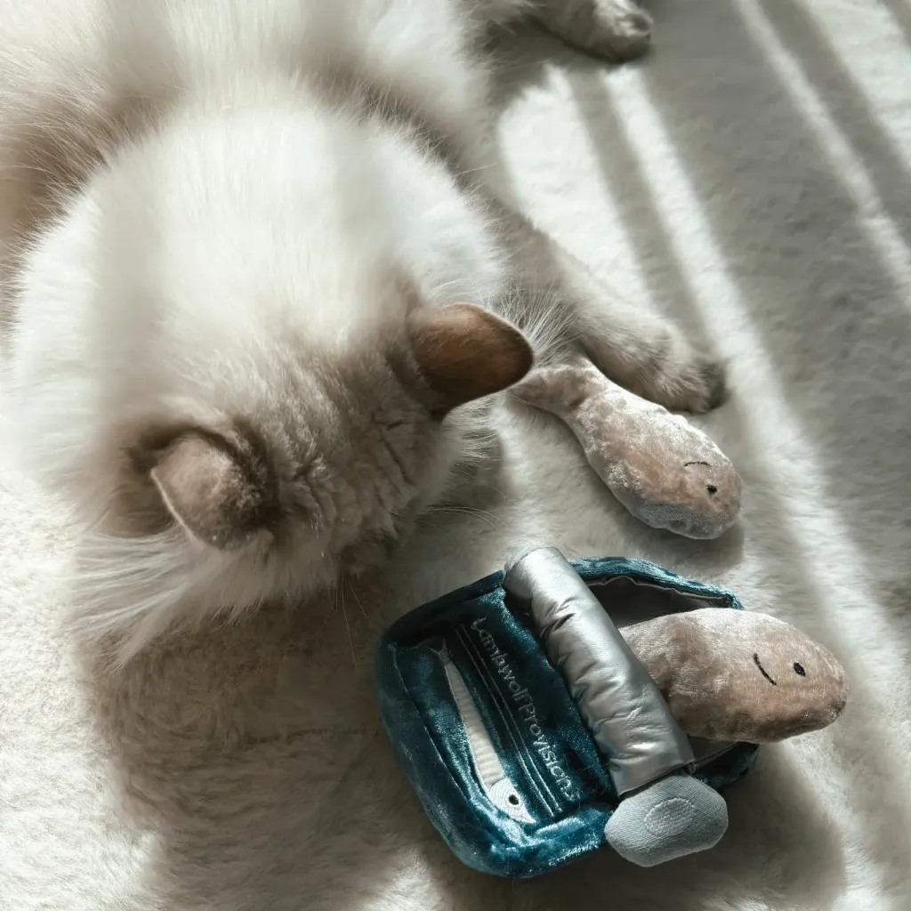 somi.lumi.bamiKITTYSARDINES10