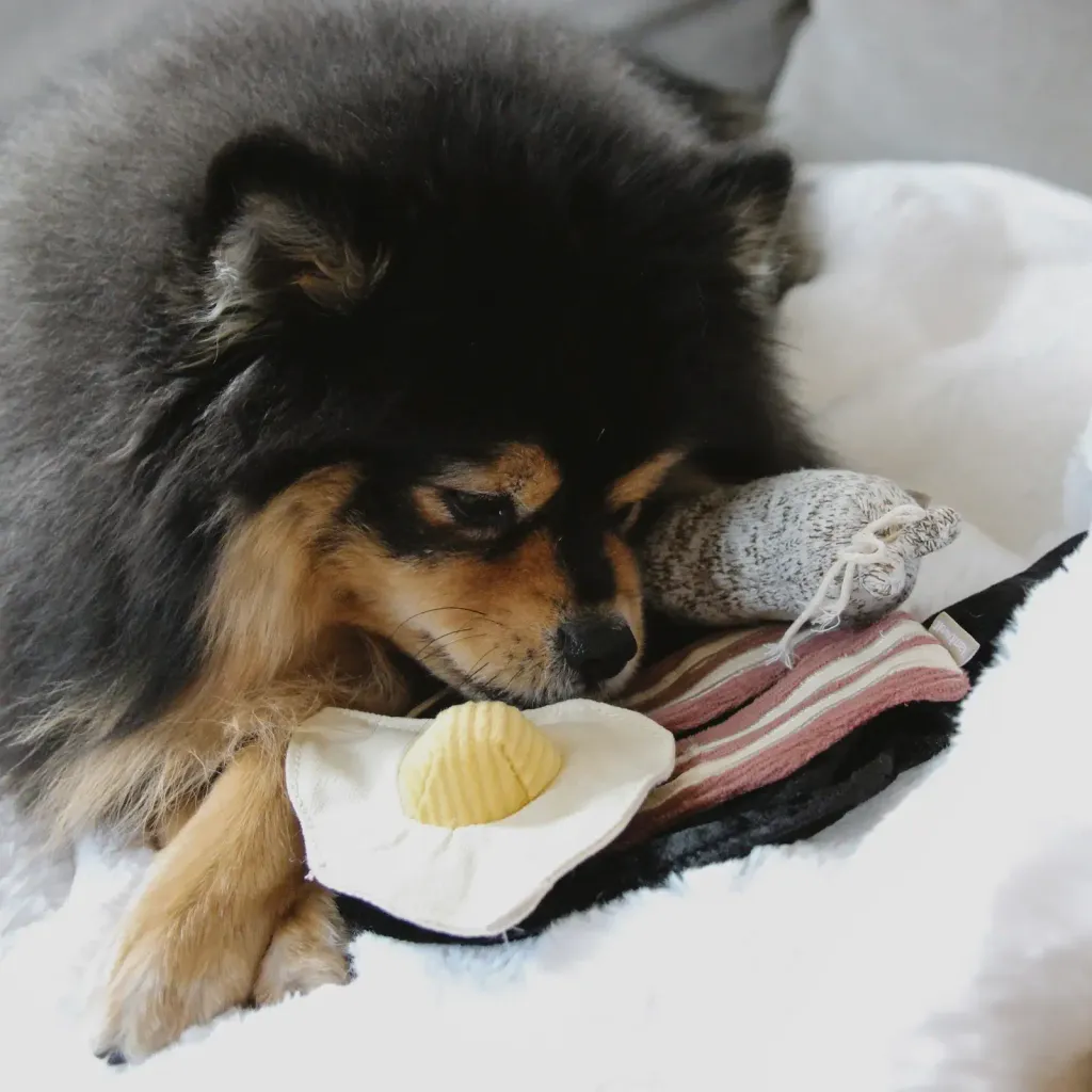 pomtoroALLDAYBREAKFASTSET8