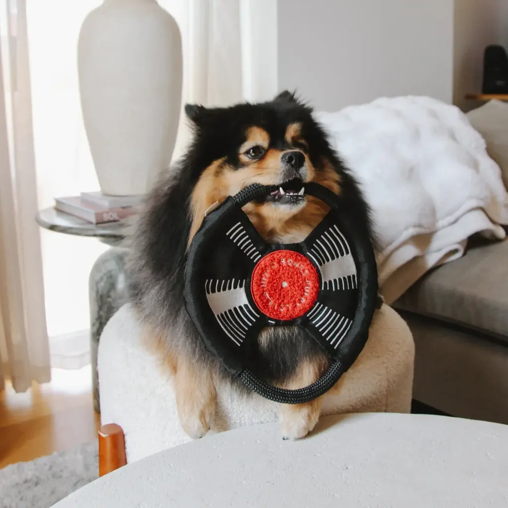 pomtoroBARKTOTHEBEAT4