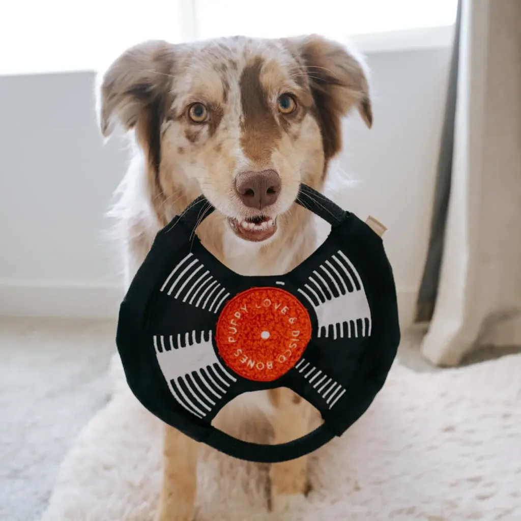 hazeydaizeythedogBARKTOTHEBEAT11