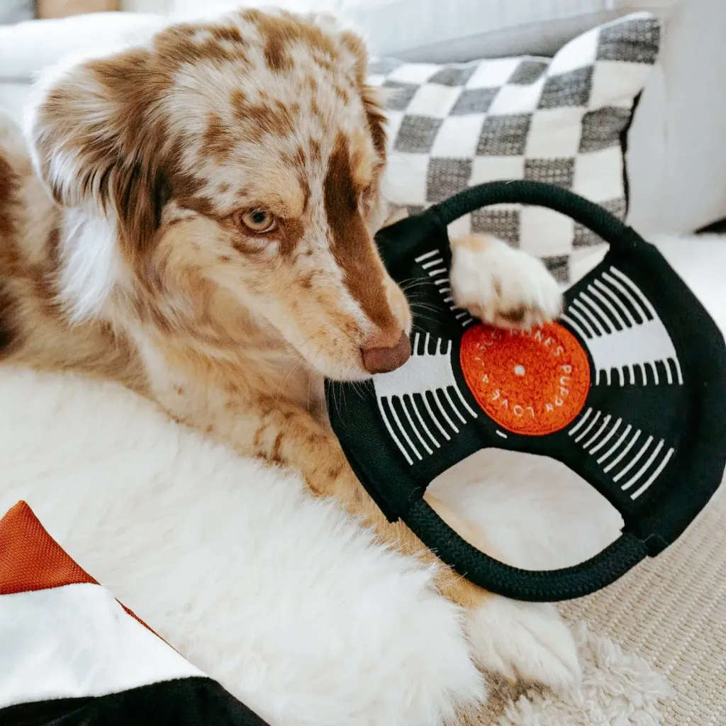 hazeydaizeythedogBARKTOTHEBEAT15