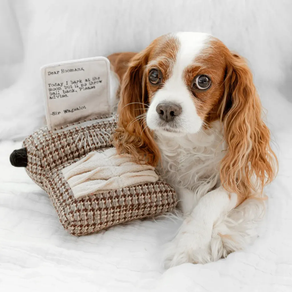 wanderlust.wagginTYPEWRITER3