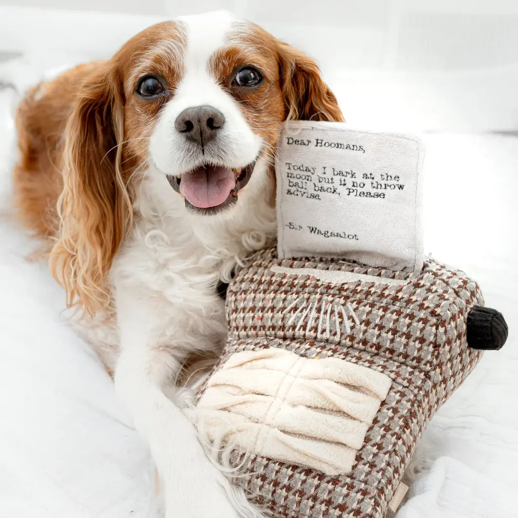 wanderlust.wagginTYPEWRITER8