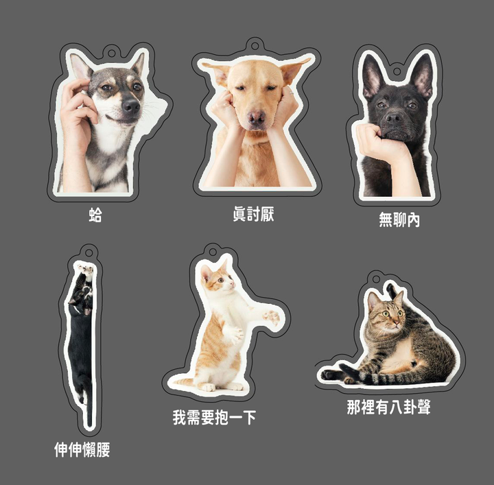 款式