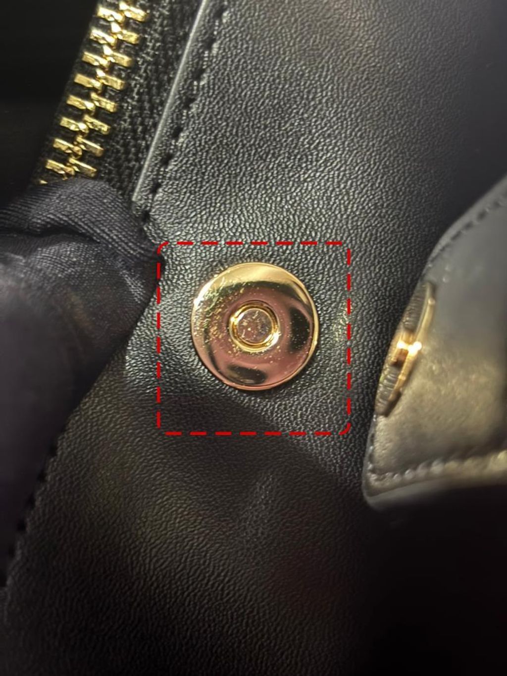 WhatsApp Image 2026-03-03 at 12.56.41 AM