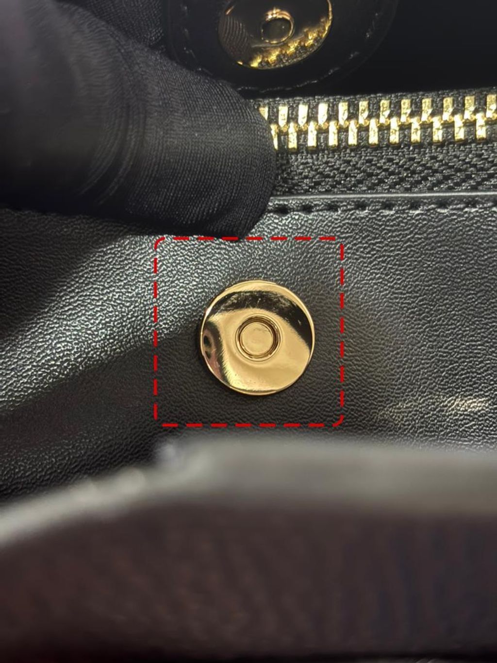 WhatsApp Image 2026-03-03 at 12.56.41 AM (1)