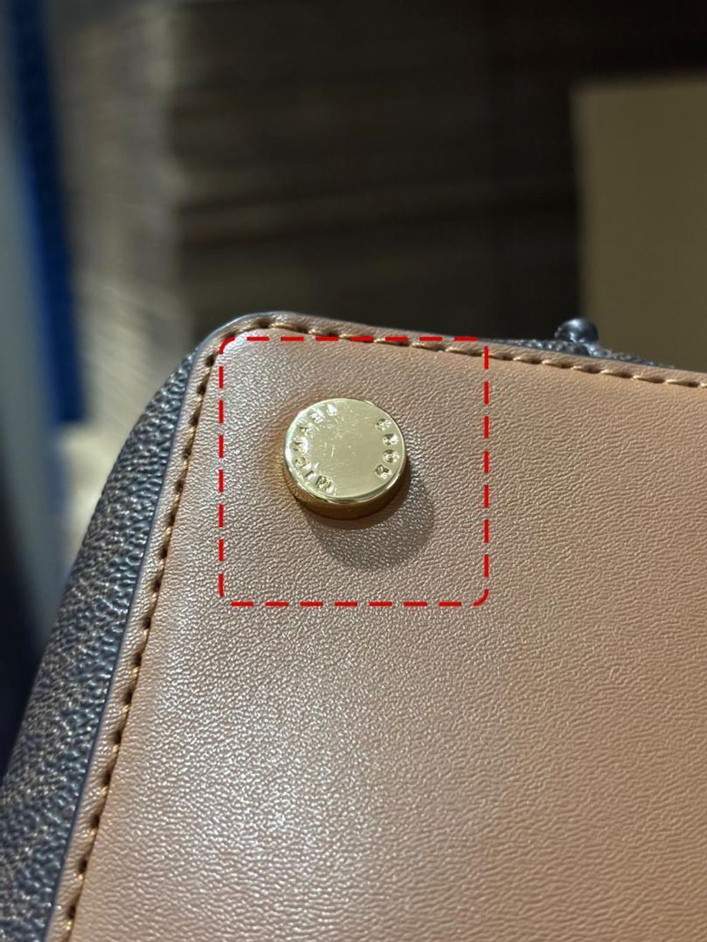 WhatsApp Image 2026-03-05 at 3.08.44 PM (1)