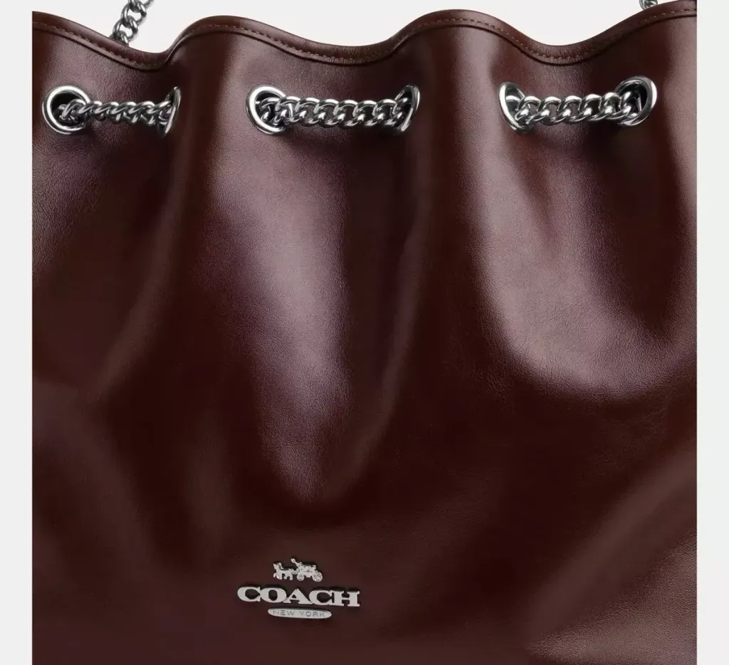 COACHEvelynShoulderBaginMaple_SHW_CCZ79_6