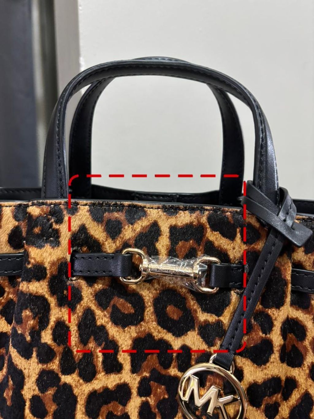 WhatsApp Image 2026-02-05 at 4.00.29 PM