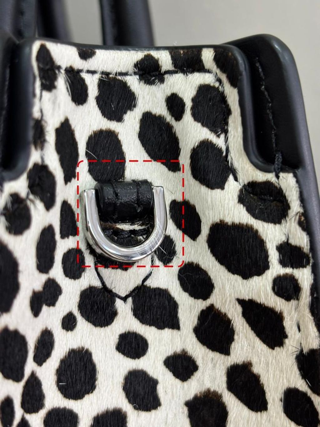 WhatsApp Image 2026-02-11 at 11.59.41 AM (1)