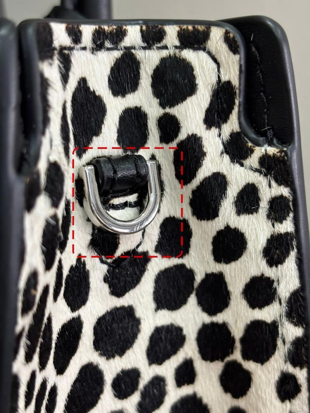 WhatsApp Image 2026-02-11 at 11.59.41 AM