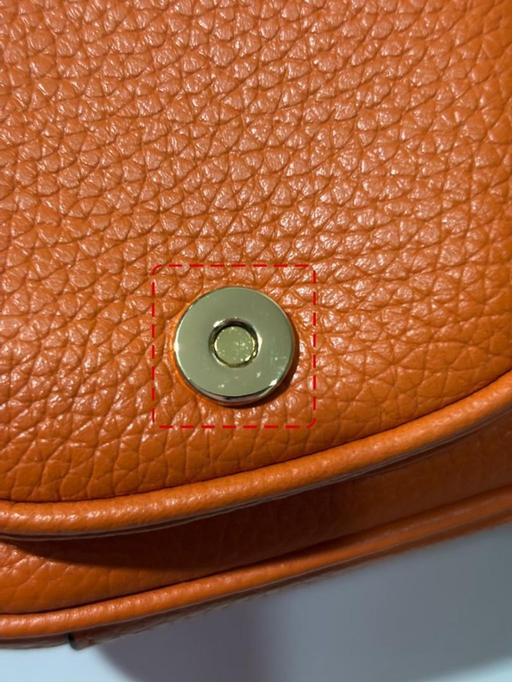 WhatsApp Image 2026-02-17 at 6.21.53 PM