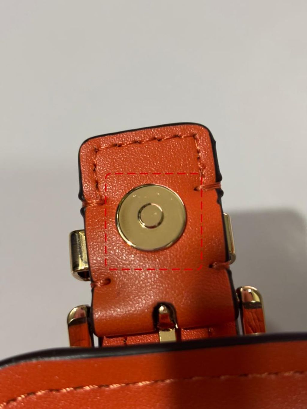 WhatsApp Image 2026-02-17 at 6.21.53 PM (1)