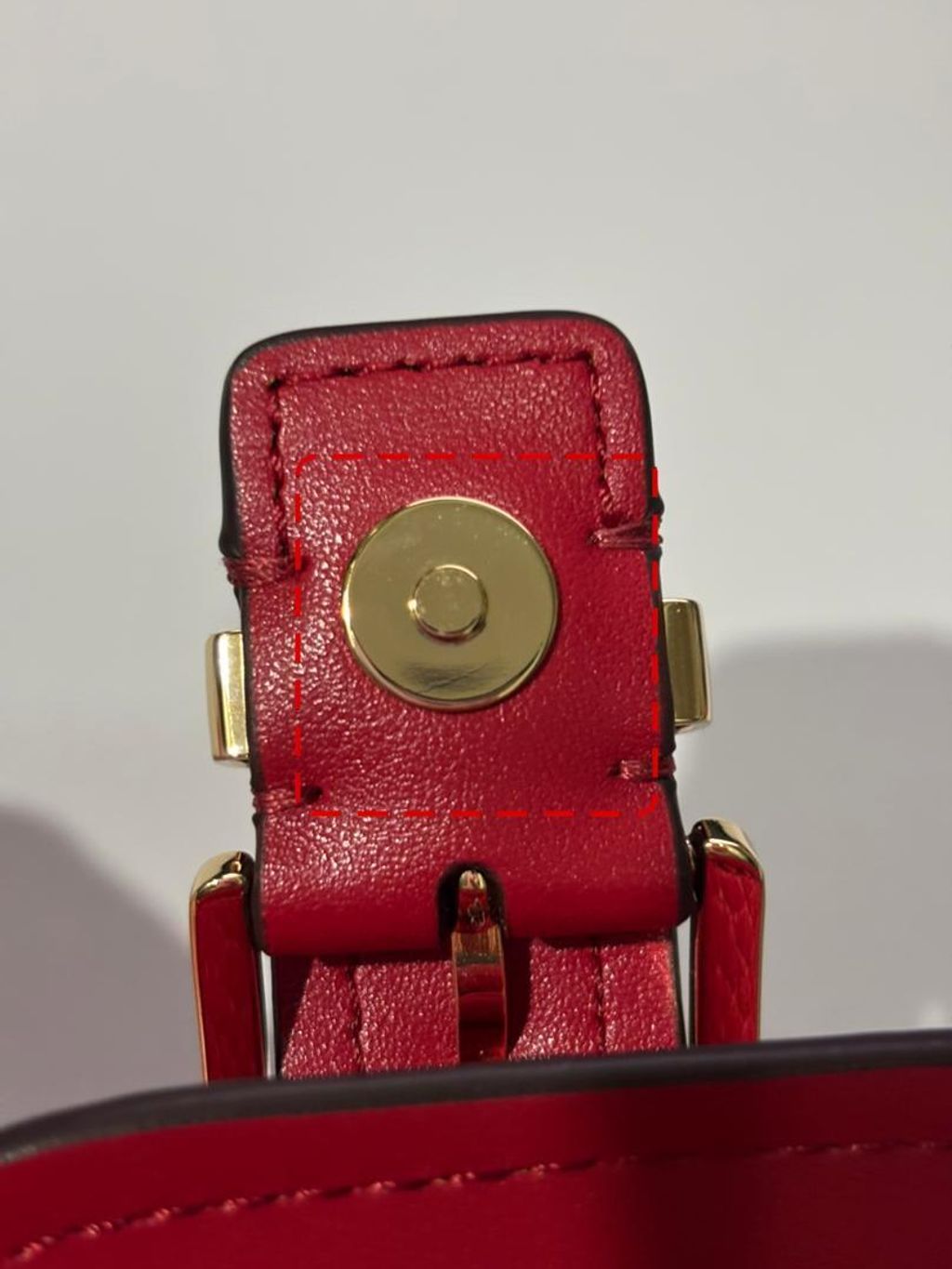 WhatsApp Image 2026-02-17 at 7.00.05 PM (1)