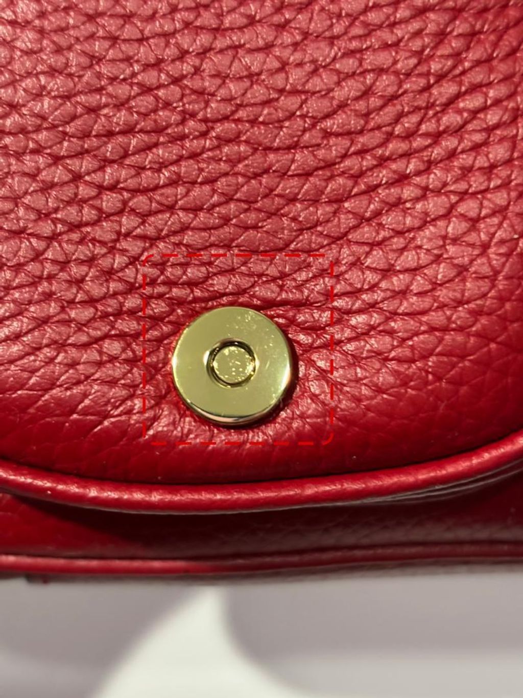 WhatsApp Image 2026-02-17 at 7.00.06 PM