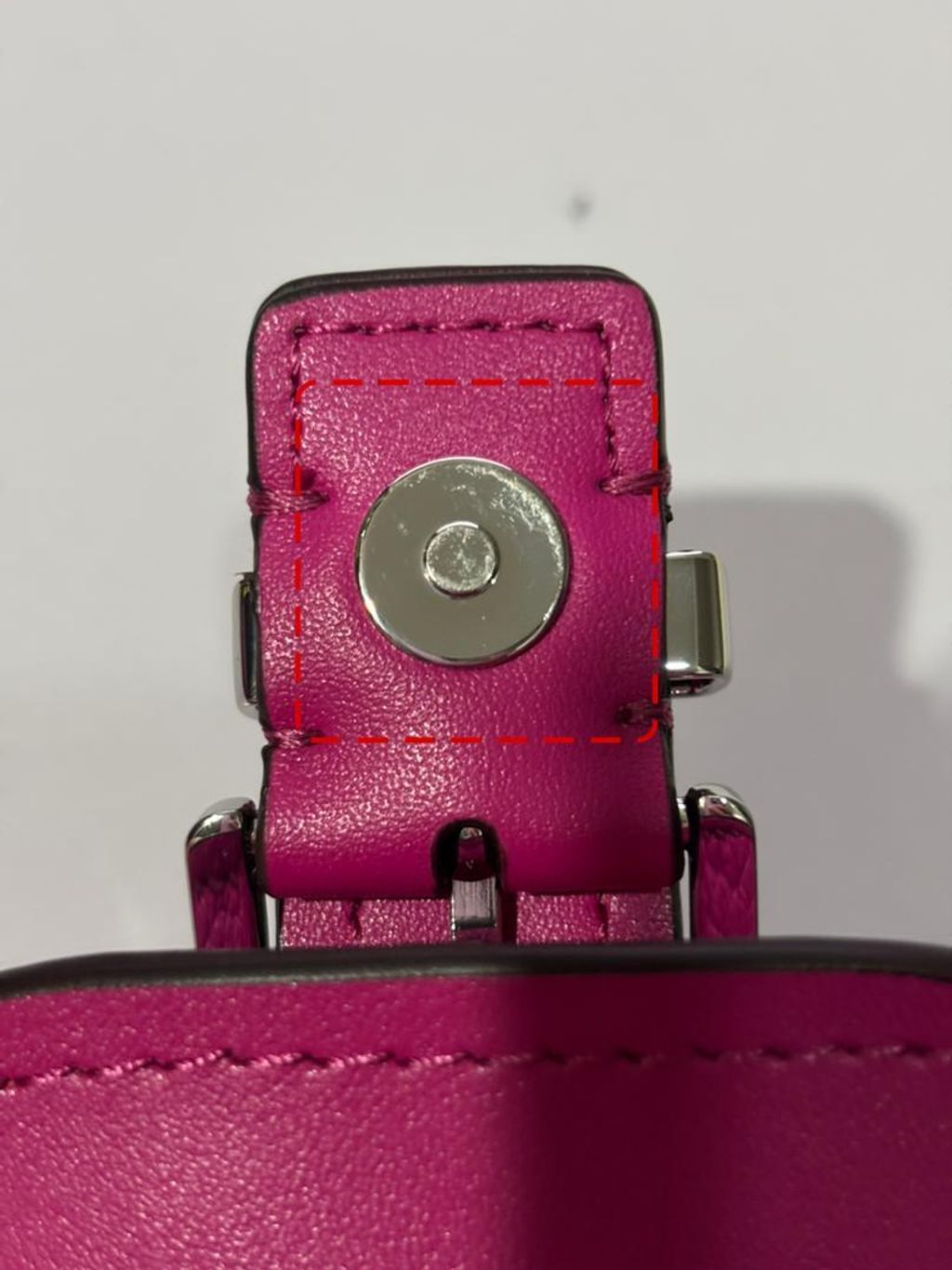 WhatsApp Image 2026-02-17 at 7.13.14 PM