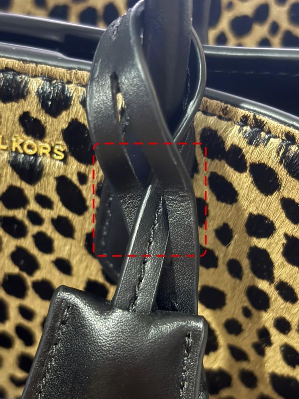 WhatsApp Image 2026-02-23 at 9.49.43 PM