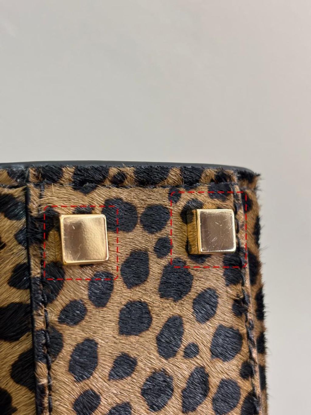 WhatsApp Image 2026-02-23 at 9.49.43 PM (2)