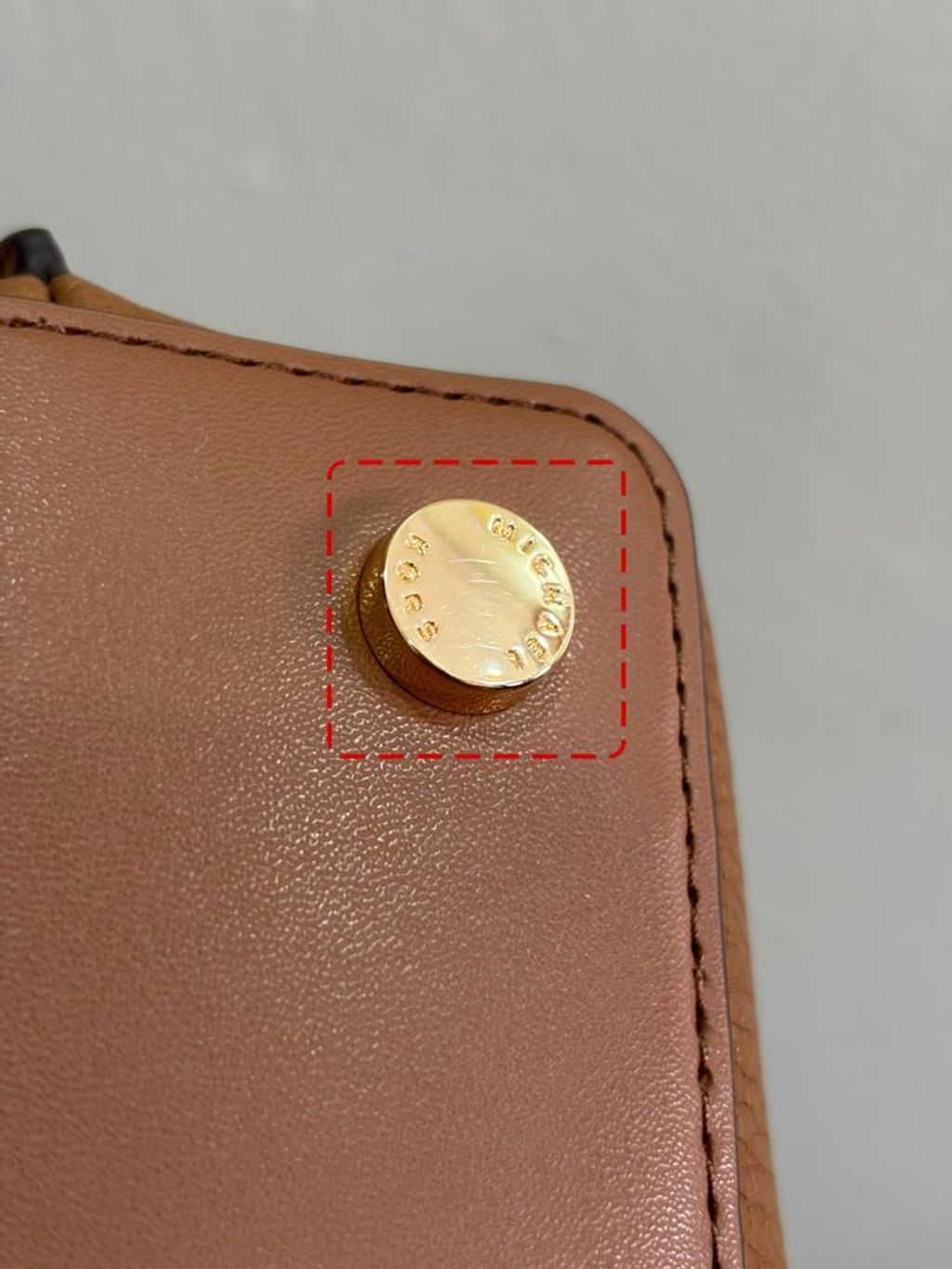 WhatsApp Image 2026-02-25 at 3.19.15 PM (2)