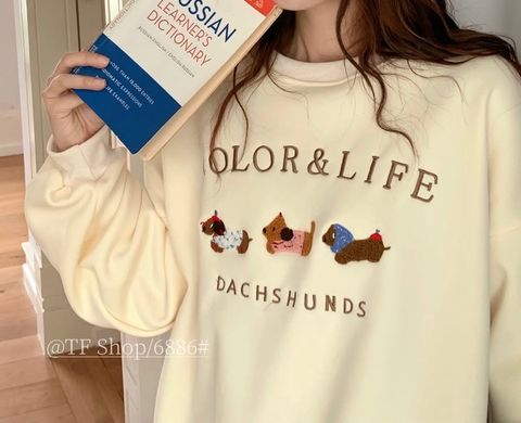 image_99393758-9D13-4492-A8B8-5C65B5B18C7D_1762960135