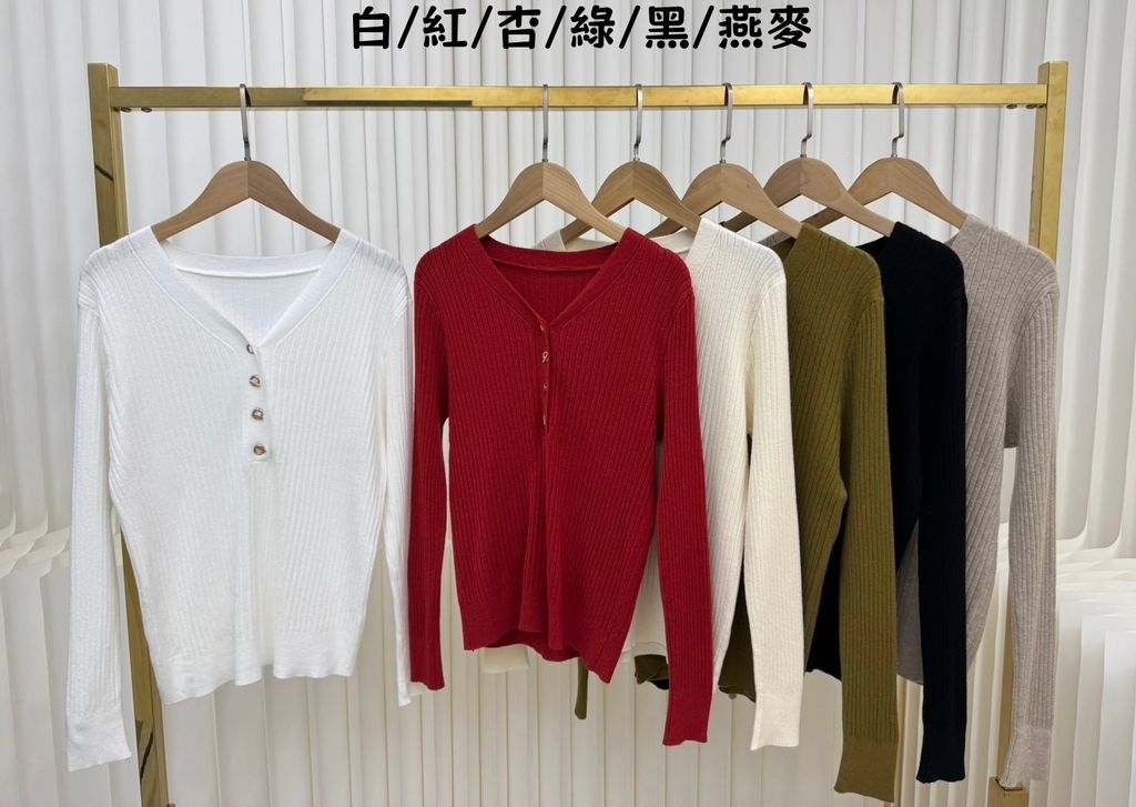 image_E4586C4F-A52A-4526-87D7-216944524431_1765519049