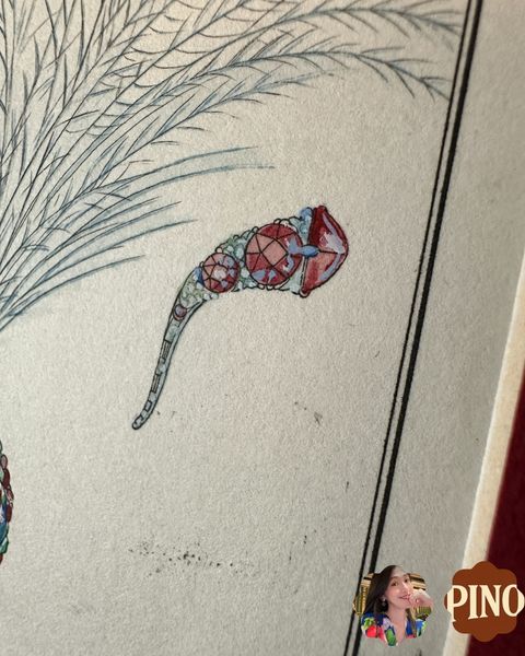 34