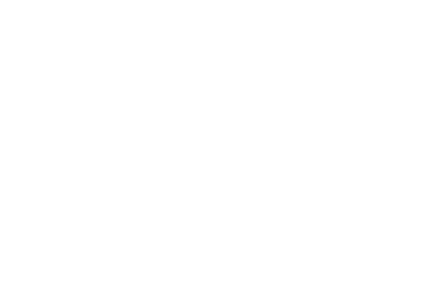 LIS official