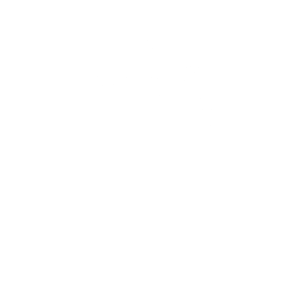 LIS official