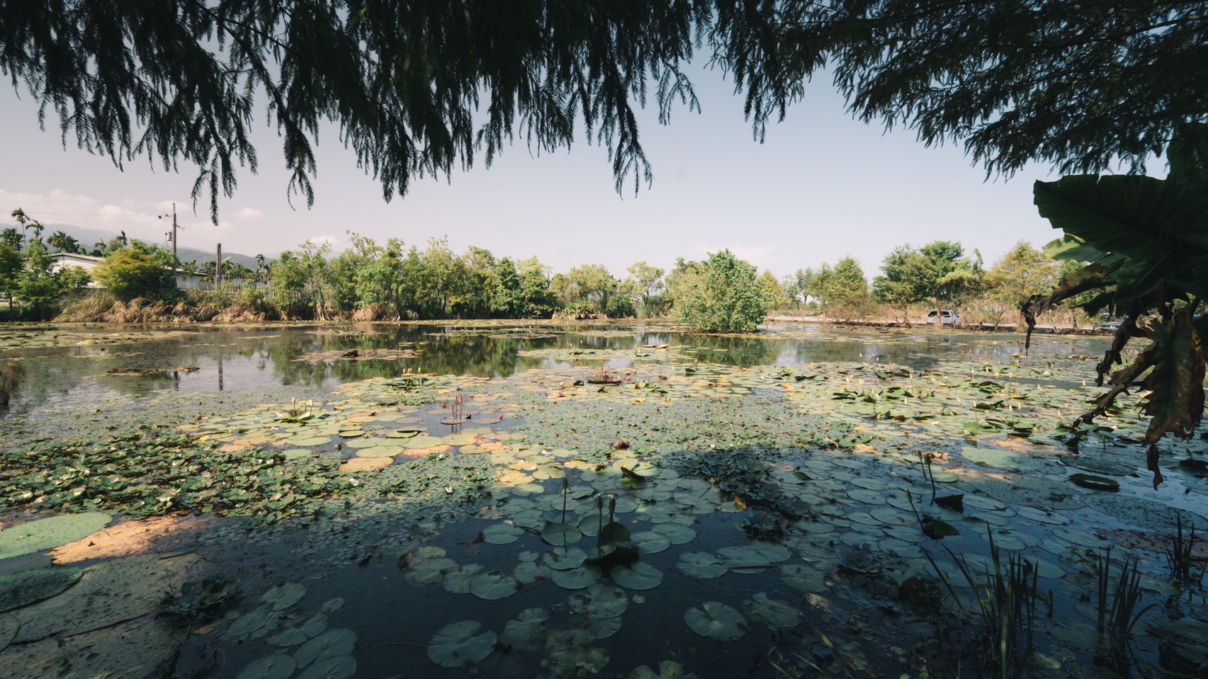 [Yilan County] Sheng Yang Leisure Farm