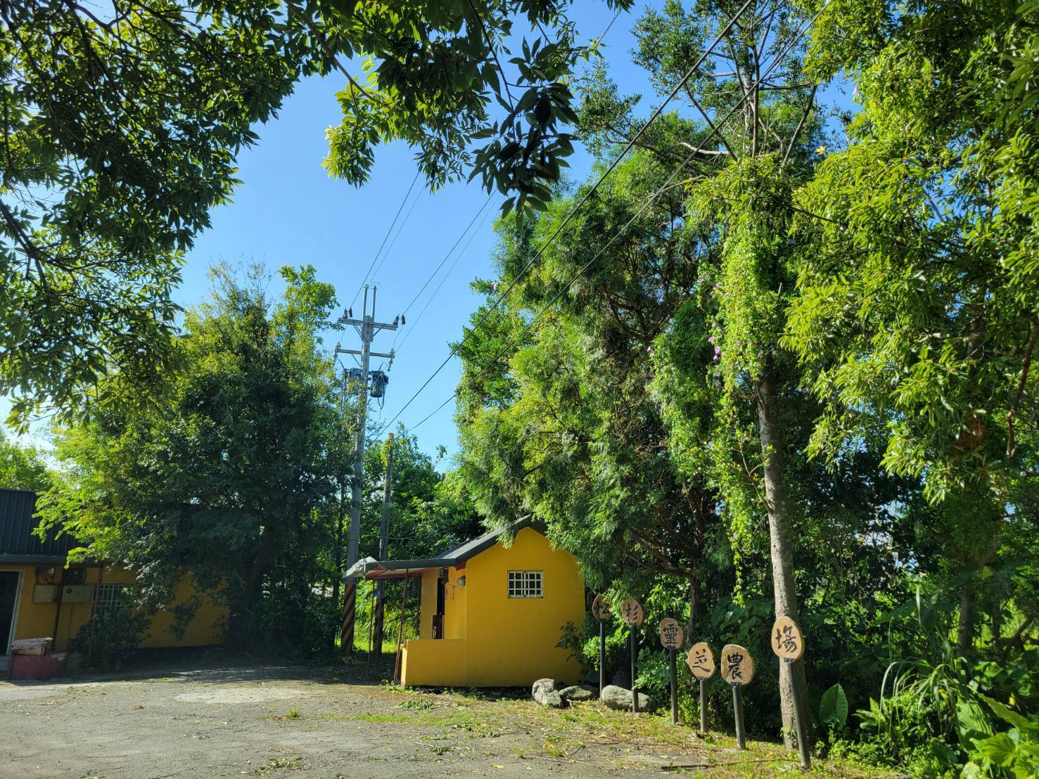 [Yilan County] Zhulin Lingzhi farm