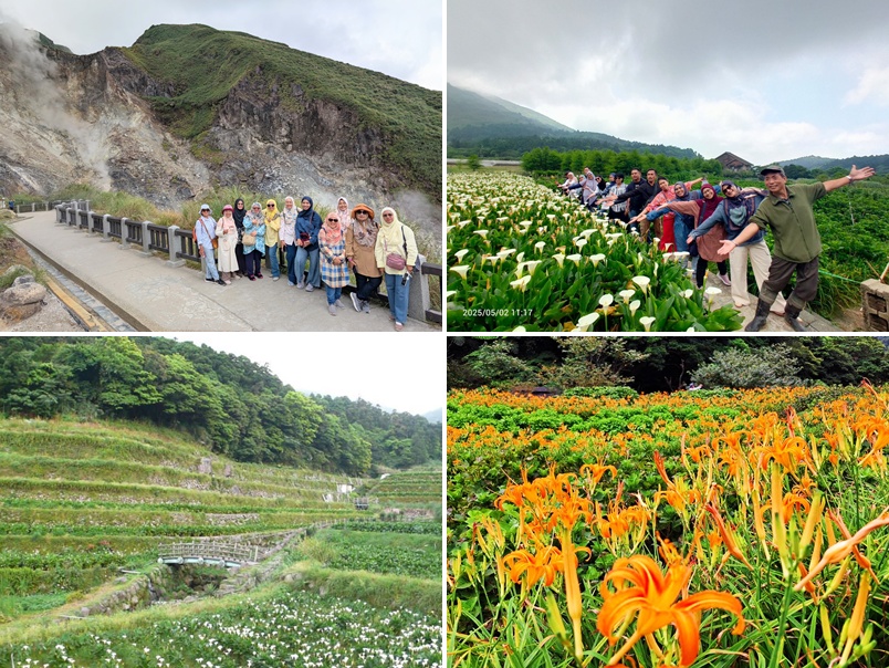 Beitou Dist.北投區-tile