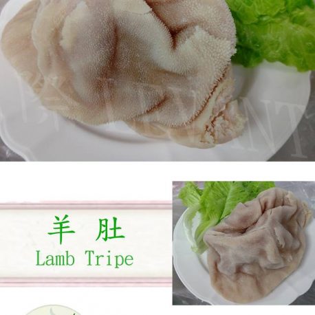 羊肚